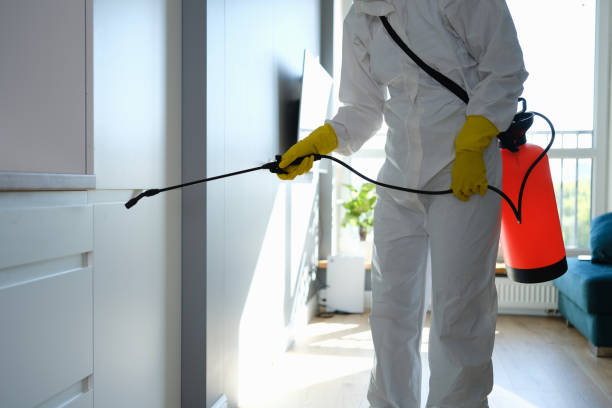 Best Health and Safety Mold Remediation in Jones Creek, TX