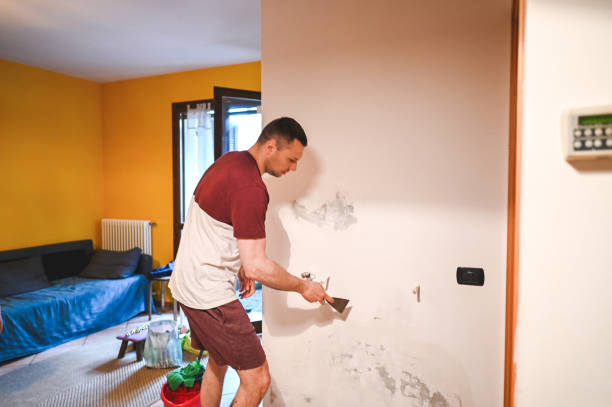 Best Post-Remediation Services in Jones Creek, TX